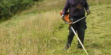 Brushcutting Tall grass