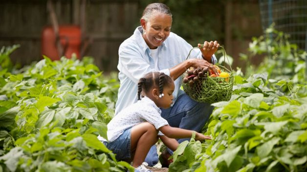 Health family gardening vegetables healthy diet